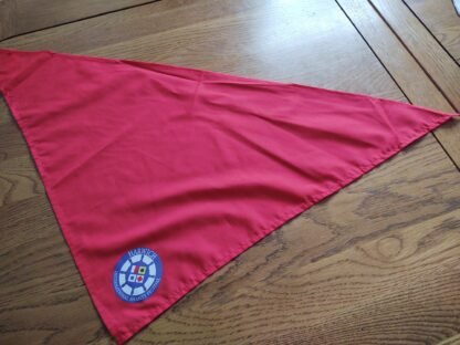 Red & Blue Triangular Scarves - Image 4
